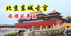 午夜日屄视频中国北京-东城古宫旅游风景区